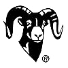RAM Mounts